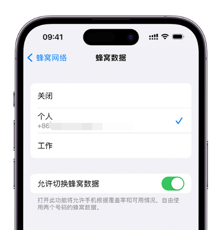 郴州苹果维修服务分享如何在iPhone上使用双卡 